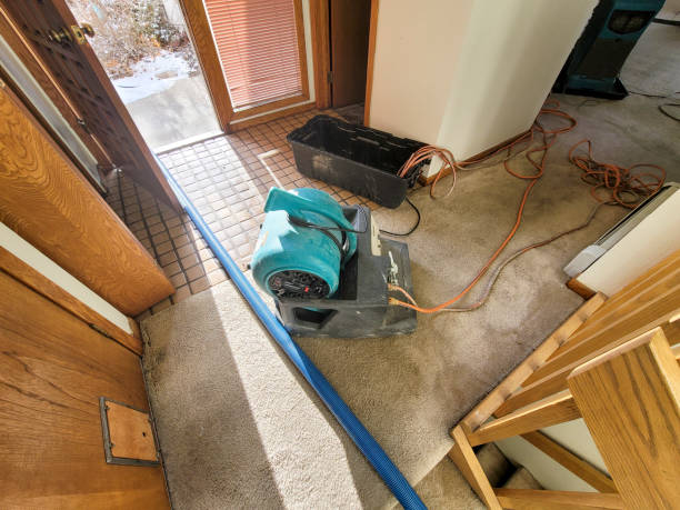 Best Flooded house restoration  in Concord, VA