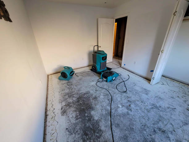 Best Flooded house restoration  in Concord, VA