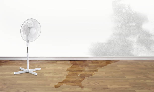 Best Commercial water damage restoration  in Concord, VA