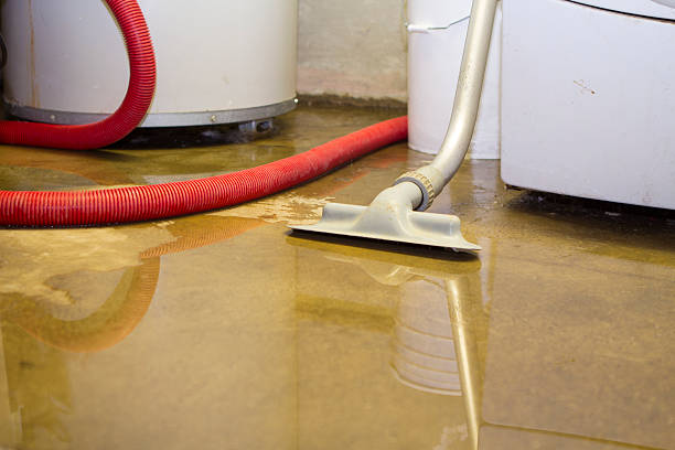 Best Commercial water damage restoration  in Concord, VA