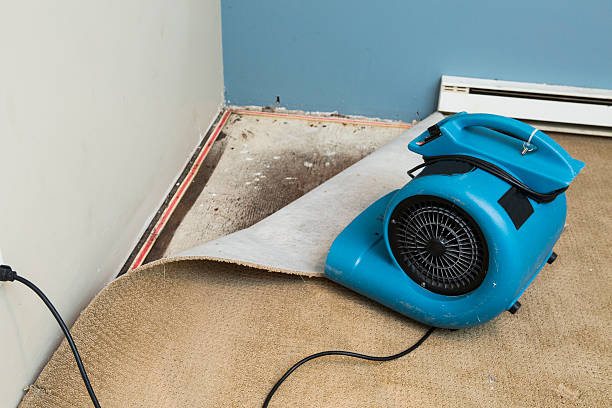Best Professional water damage repair  in Concord, VA